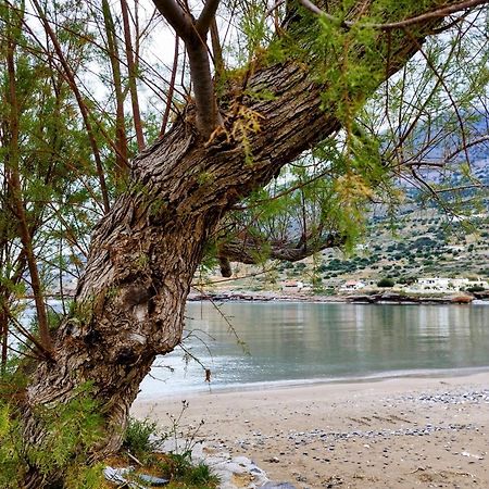 Tholos Alexandra'S Beachfront House Kavoúsion 外观 照片
