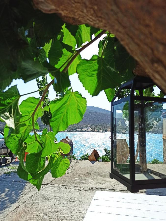 Tholos Alexandra'S Beachfront House Kavoúsion 外观 照片