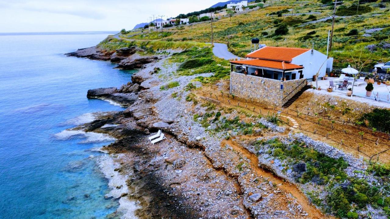 Tholos Alexandra'S Beachfront House Kavoúsion 外观 照片