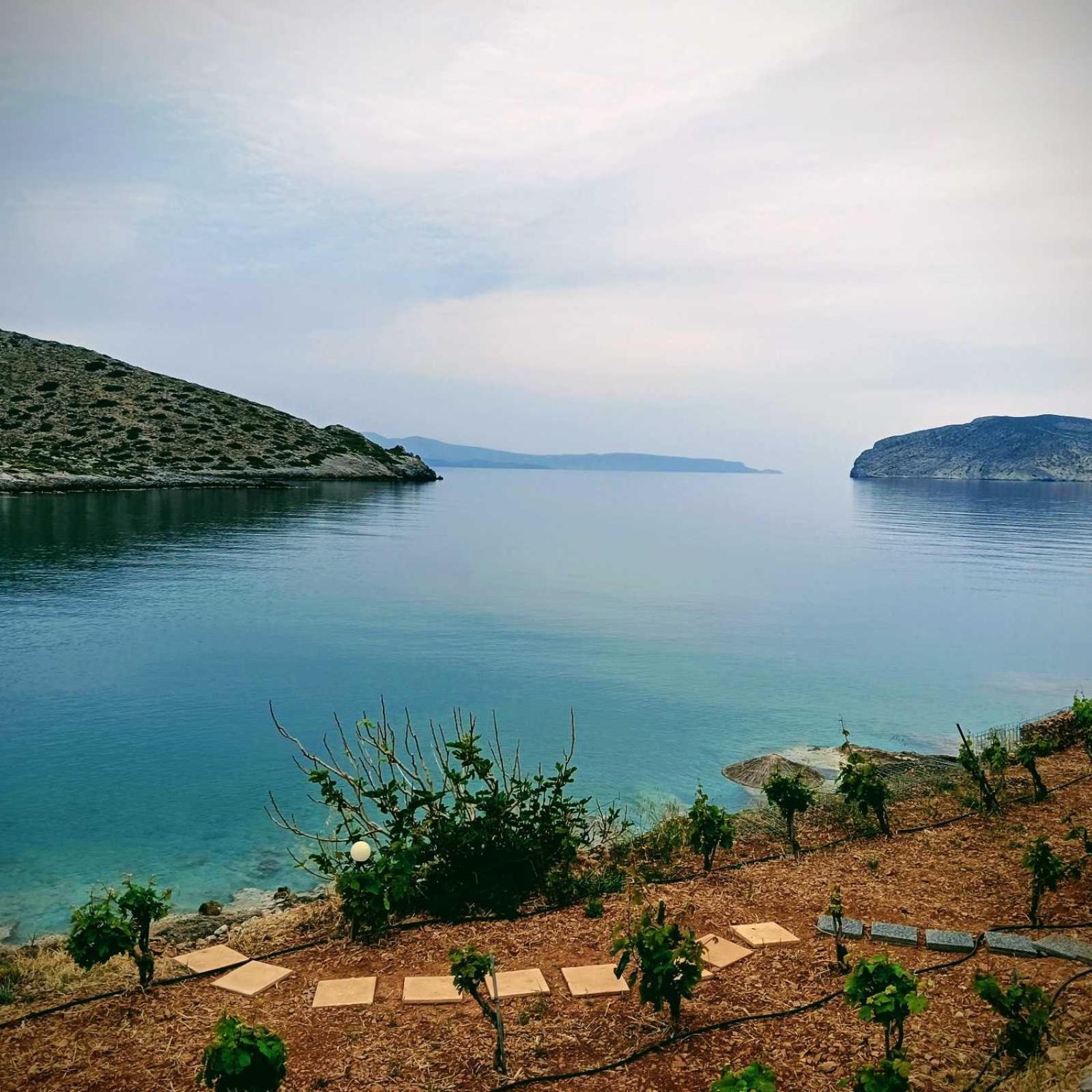 Tholos Alexandra'S Beachfront House Kavoúsion 外观 照片